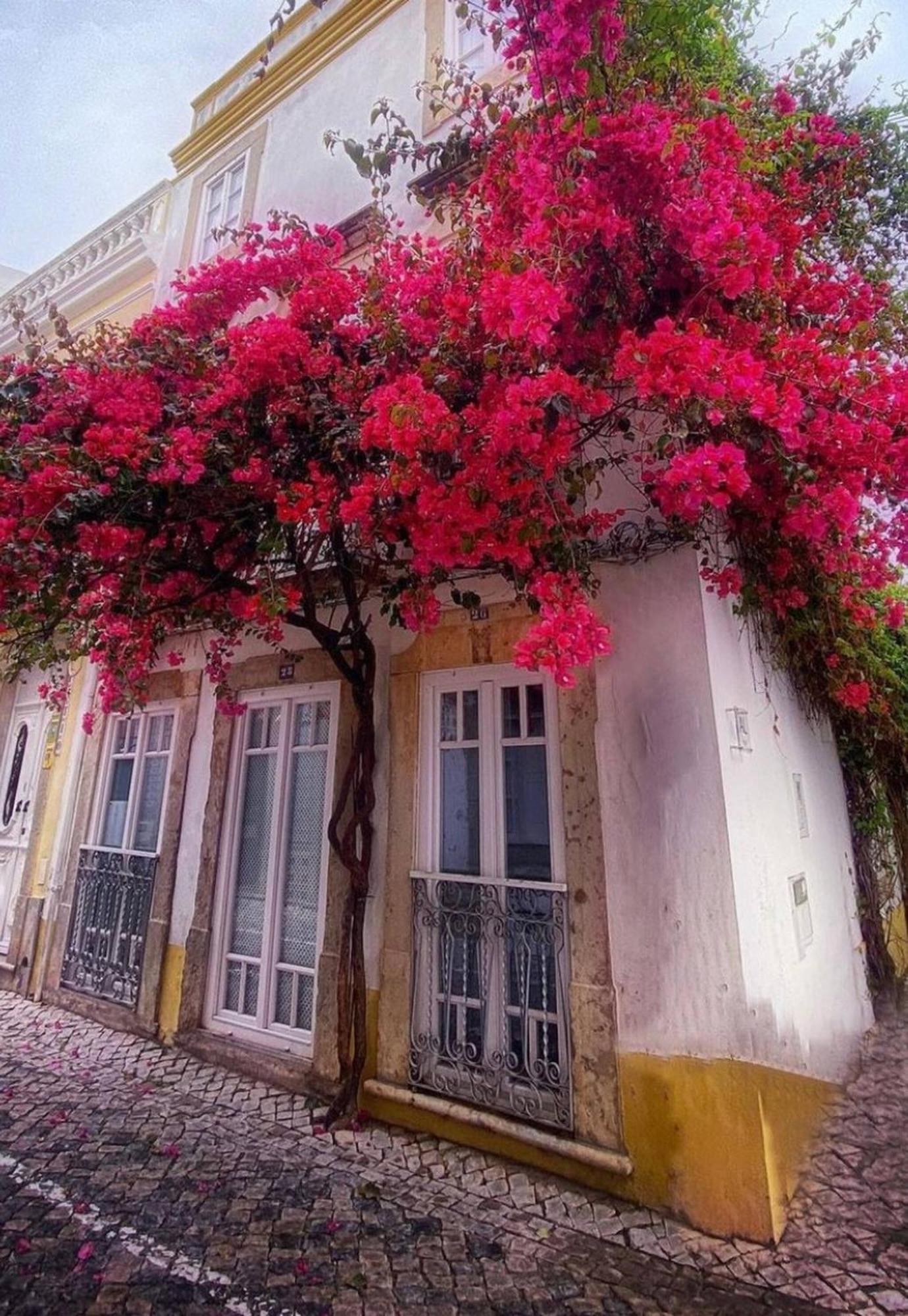 Chic Suite Sequa In Taviras Historical Centre Εξωτερικό φωτογραφία